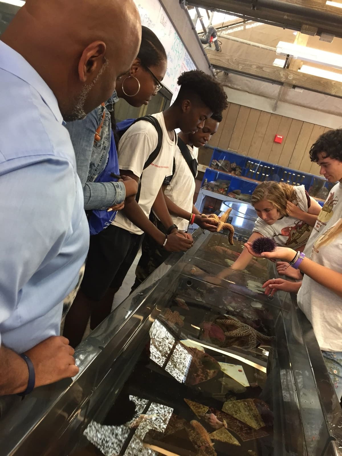 Scholars examining an exhibit on a program field trip